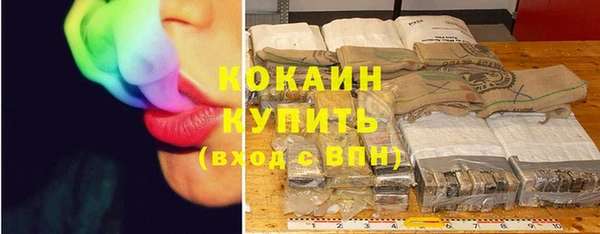 PSILOCYBIN Елабуга