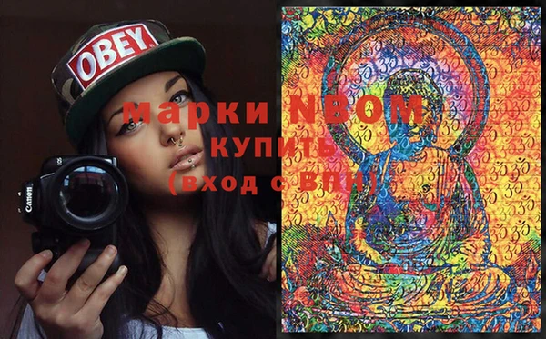 дурь Ельня