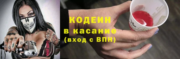 дурь Ельня