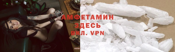 PSILOCYBIN Елабуга