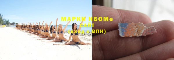 сатива Семикаракорск