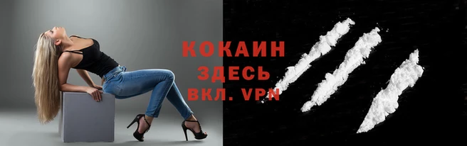 дурь Ельня