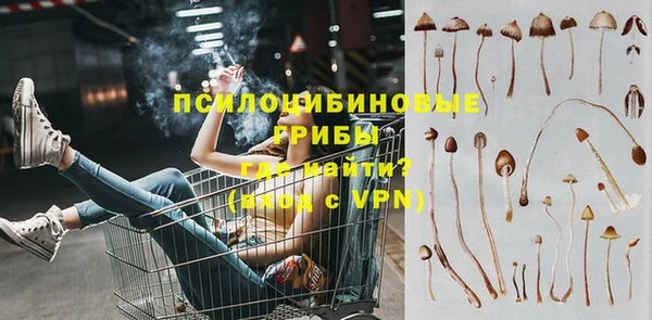 PSILOCYBIN Елабуга