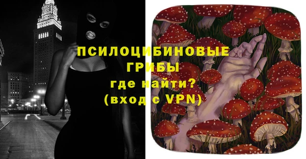 PSILOCYBIN Елабуга