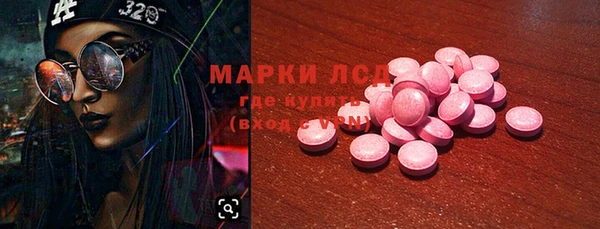 дурь Ельня
