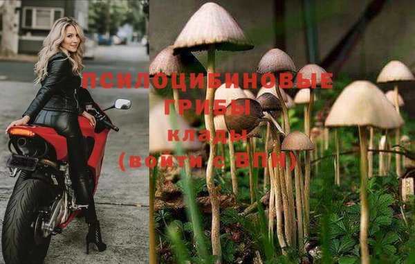 дурь Ельня