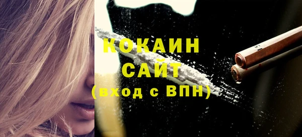 PSILOCYBIN Елабуга