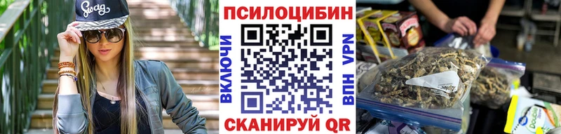 где продают   Кинешма  Псилоцибиновые грибы мицелий 
